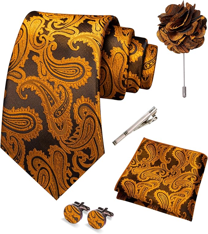 JEMYGINS Mens Paisley Tie and Pocket Square,Lapel Pin,Cufflinks,Tie Clip Sets with Gift Box 5PCS