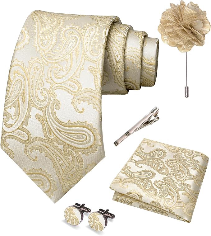 JEMYGINS Mens Paisley Tie and Pocket Square,Lapel Pin,Cufflinks,Tie Clip Sets with Gift Box 5PCS