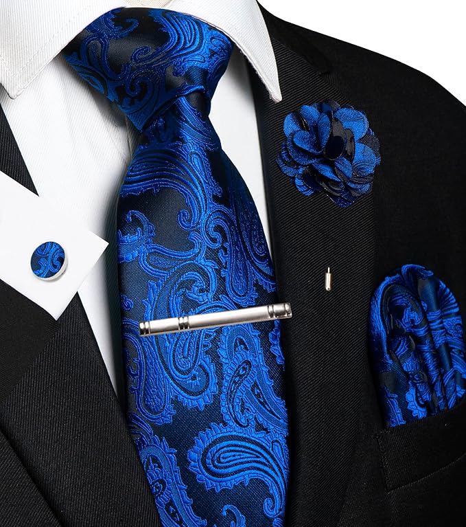 JEMYGINS Mens Paisley Tie and Pocket Square,Lapel Pin,Cufflinks,Tie Clip Sets with Gift Box 5PCS