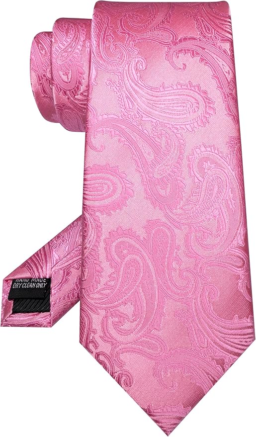 JEMYGINS Mens Paisley Tie and Pocket Square,Lapel Pin,Cufflinks,Tie Clip Sets with Gift Box 5PCS