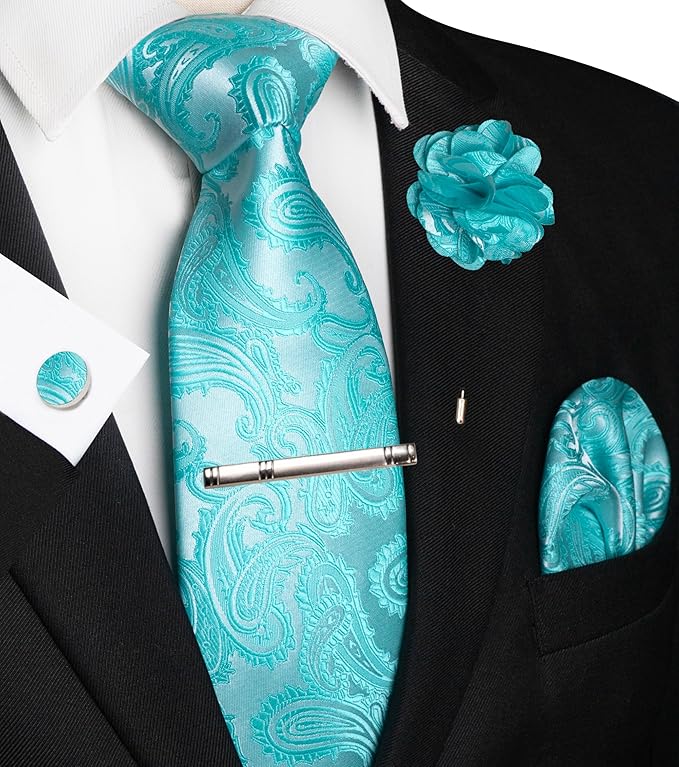 JEMYGINS Mens Paisley Tie and Pocket Square,Lapel Pin,Cufflinks,Tie Clip Sets with Gift Box 5PCS