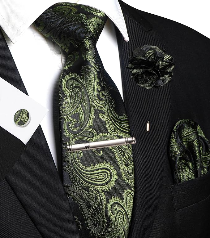 JEMYGINS Mens Paisley Tie and Pocket Square,Lapel Pin,Cufflinks,Tie Clip Sets with Gift Box 5PCS
