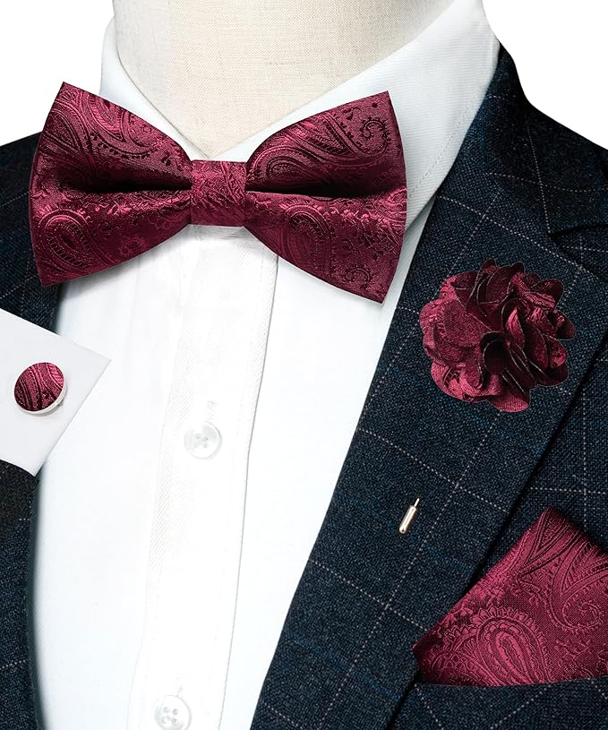JEMYGINS Mens Paisley Bow Tie and Lapel Pin Necktie Pocket Square and Tie Clip with Sets for Business Casual 4PCS