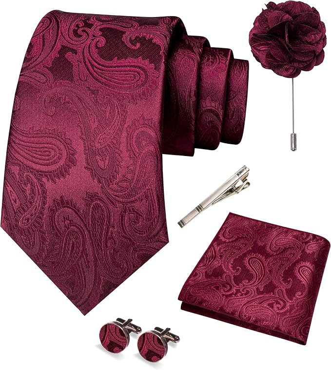 JEMYGINS Mens Paisley Tie and Pocket Square,Lapel Pin,Cufflinks,Tie Clip Sets with Gift Box 5PCS