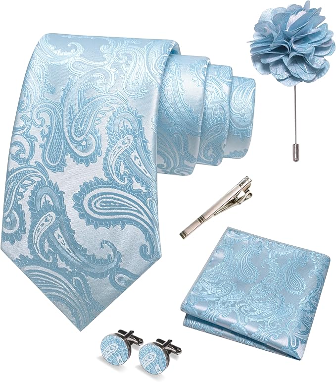 JEMYGINS Mens Paisley Tie and Pocket Square,Lapel Pin,Cufflinks,Tie Clip Sets with Gift Box 5PCS