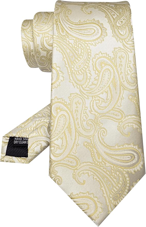 JEMYGINS Mens Paisley Tie and Pocket Square,Lapel Pin,Cufflinks,Tie Clip Sets with Gift Box 5PCS