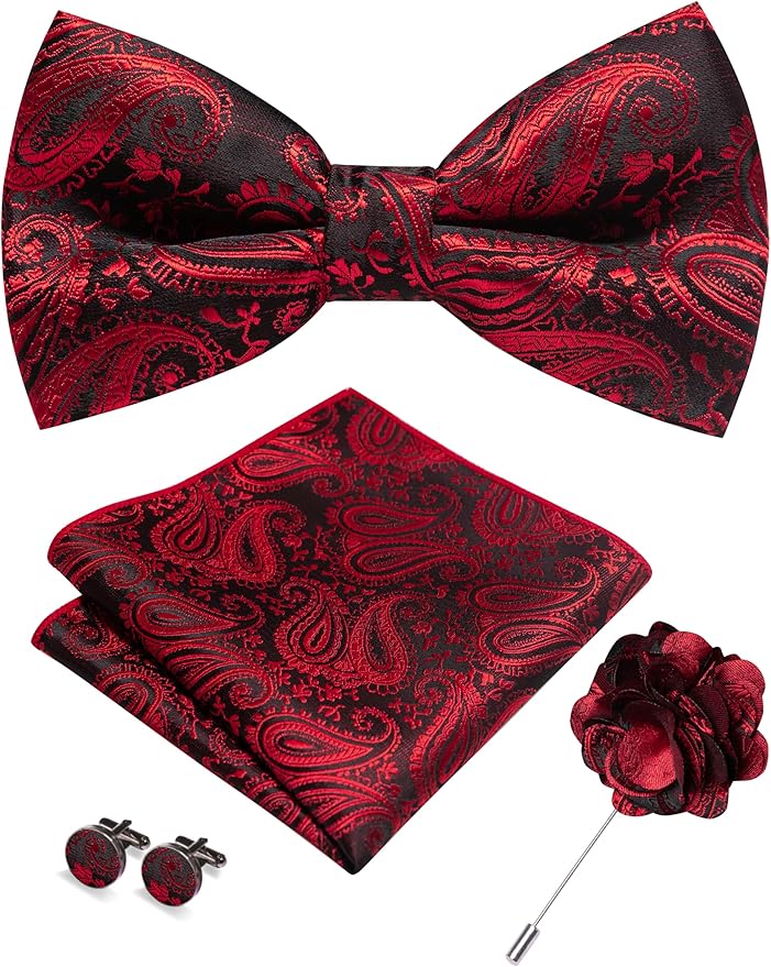 JEMYGINS Mens Paisley Bow Tie and Lapel Pin Necktie Pocket Square and Tie Clip with Sets for Business Casual 4PCS