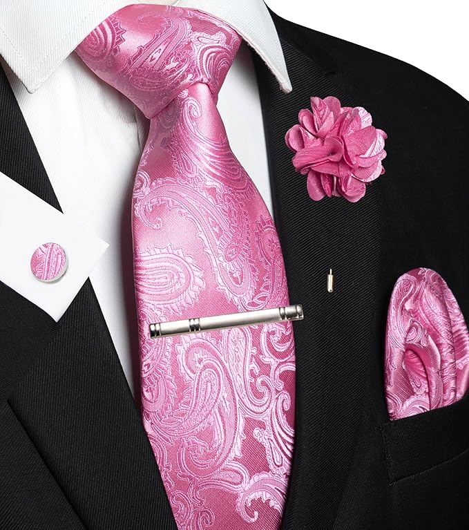 JEMYGINS Mens Paisley Tie and Pocket Square,Lapel Pin,Cufflinks,Tie Clip Sets with Gift Box 5PCS