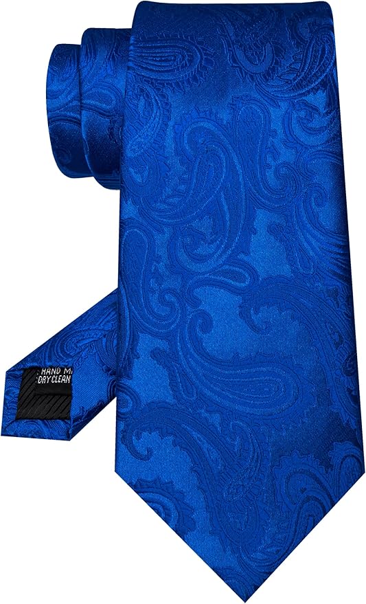 JEMYGINS Mens Paisley Tie and Pocket Square,Lapel Pin,Cufflinks,Tie Clip Sets with Gift Box 5PCS