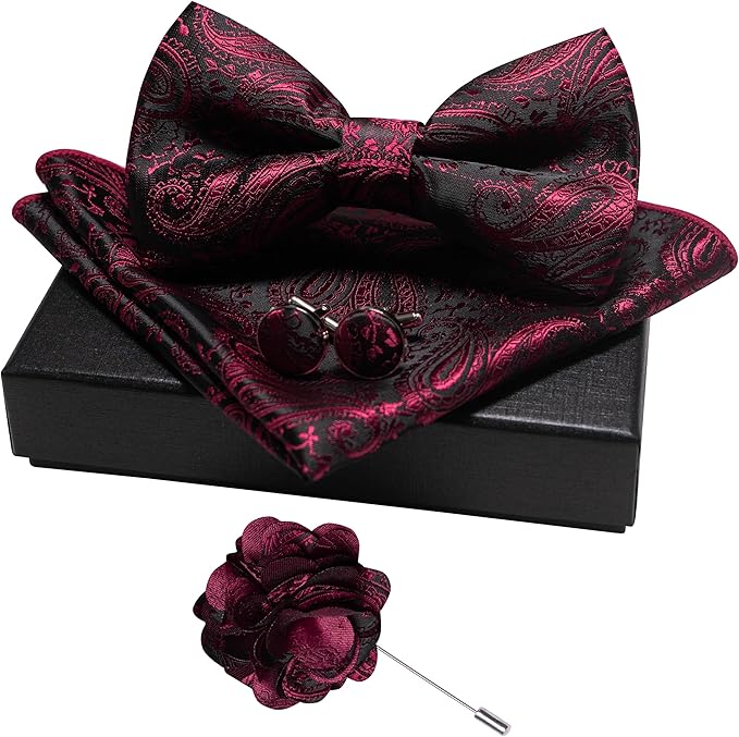 JEMYGINS Mens Paisley Bow Tie and Lapel Pin Necktie Pocket Square and Tie Clip with Sets for Business Casual 4PCS