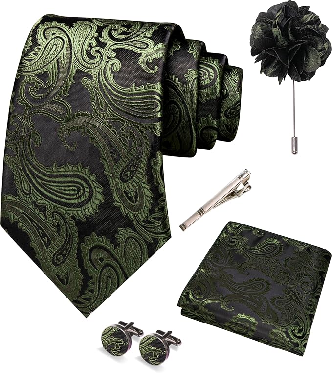 JEMYGINS Mens Paisley Tie and Pocket Square,Lapel Pin,Cufflinks,Tie Clip Sets with Gift Box 5PCS