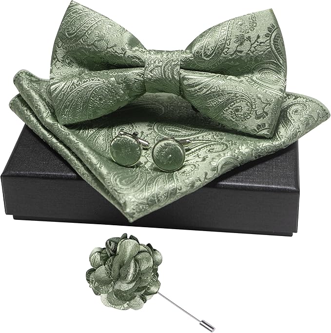 JEMYGINS Mens Paisley Bow Tie and Lapel Pin Necktie Pocket Square and Tie Clip with Sets for Business Casual 4PCS