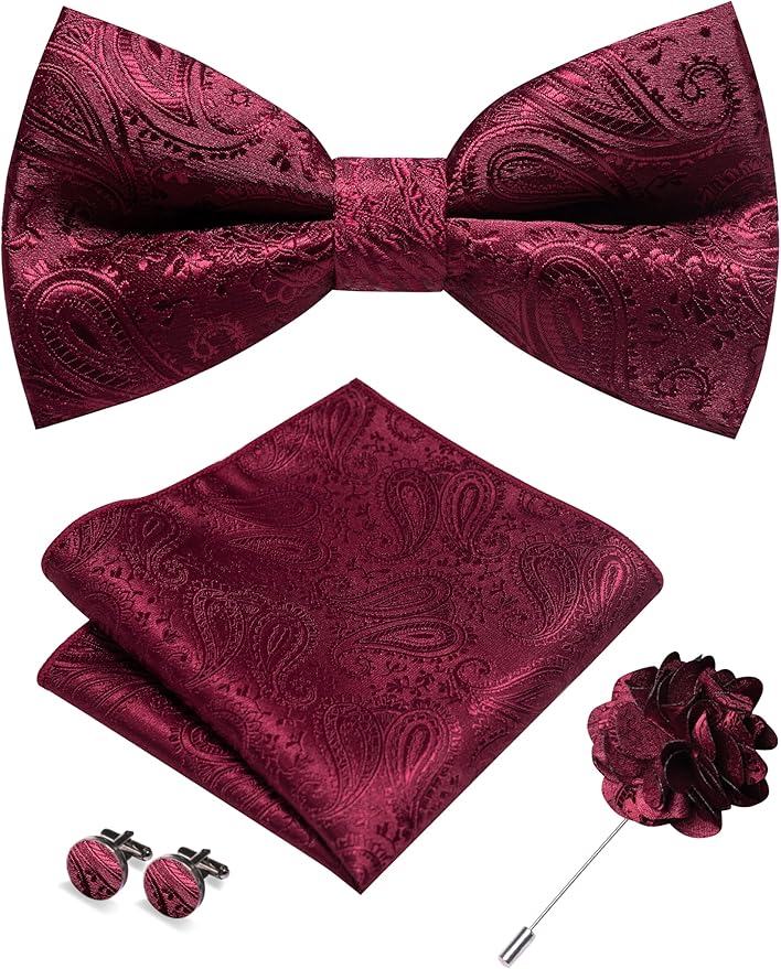 JEMYGINS Mens Paisley Bow Tie and Lapel Pin Necktie Pocket Square and Tie Clip with Sets for Business Casual 4PCS