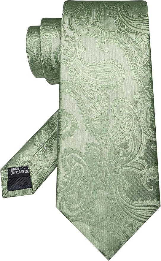 JEMYGINS Mens Paisley Tie and Pocket Square,Lapel Pin,Cufflinks,Tie Clip Sets with Gift Box 5PCS