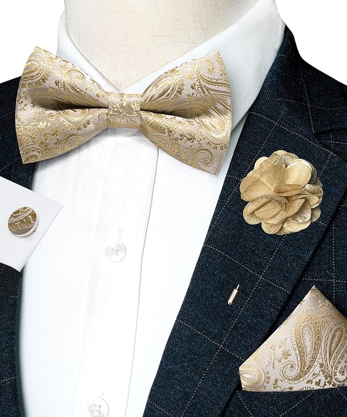 JEMYGINS Mens Paisley Bow Tie and Lapel Pin Necktie Pocket Square and Tie Clip with Sets for Business Casual 4PCS