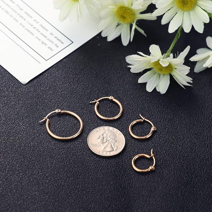 LOYALLOOK Gold Hoop Earrings Set Stainless Steel Rounded Small Hoop Earrings Set for Women Cute Huggie Earrings Nickel Free 10/12/15/20MM