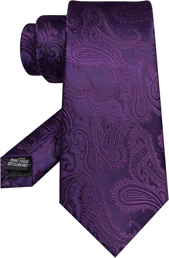 JEMYGINS Mens Paisley Tie and Pocket Square,Lapel Pin,Cufflinks,Tie Clip Sets with Gift Box 5PCS