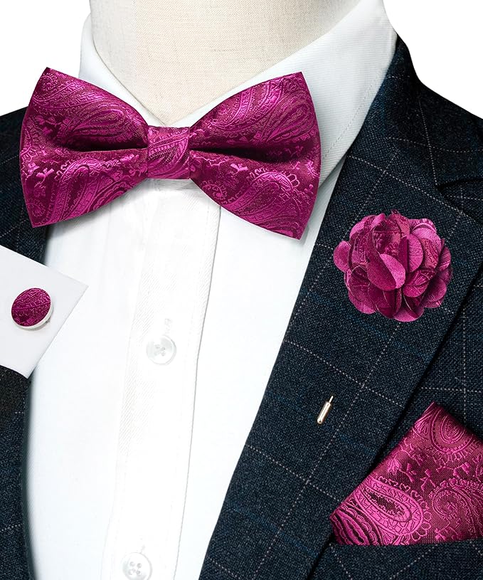 JEMYGINS Mens Paisley Bow Tie and Lapel Pin Necktie Pocket Square and Tie Clip with Sets for Business Casual 4PCS