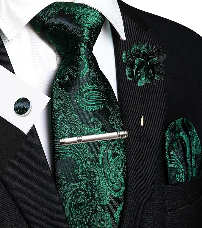 JEMYGINS Mens Paisley Tie and Pocket Square,Lapel Pin,Cufflinks,Tie Clip Sets with Gift Box 5PCS
