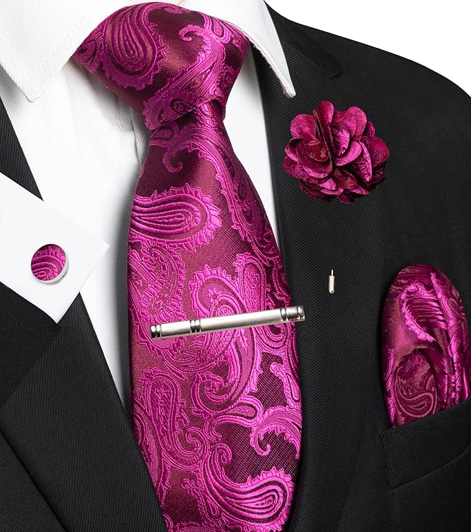 JEMYGINS Mens Paisley Tie and Pocket Square,Lapel Pin,Cufflinks,Tie Clip Sets with Gift Box 5PCS