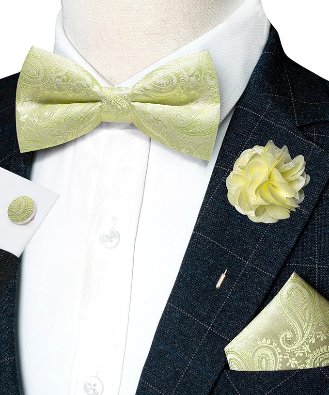 JEMYGINS Mens Paisley Bow Tie and Lapel Pin Necktie Pocket Square and Tie Clip with Sets for Business Casual 4PCS