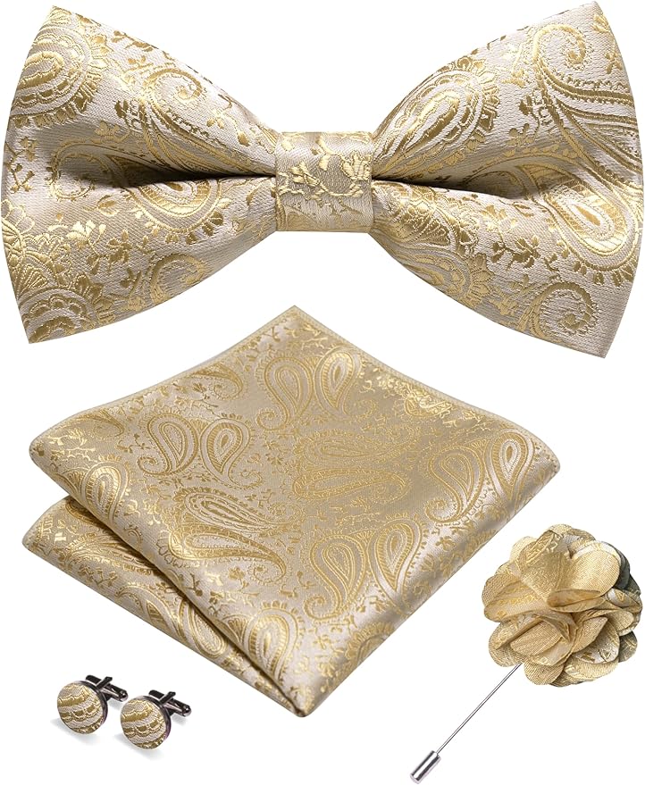 JEMYGINS Mens Paisley Bow Tie and Lapel Pin Necktie Pocket Square and Tie Clip with Sets for Business Casual 4PCS