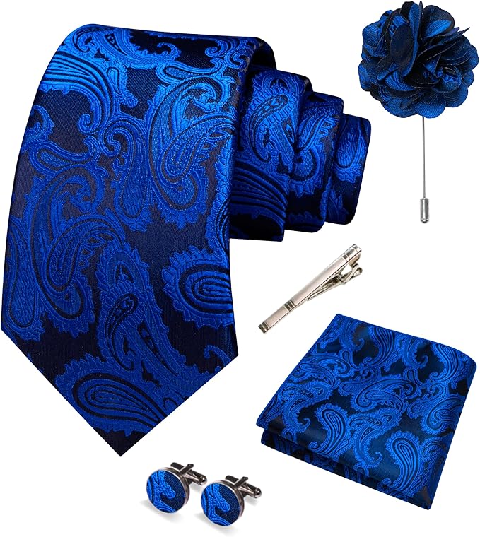 JEMYGINS Mens Paisley Tie and Pocket Square,Lapel Pin,Cufflinks,Tie Clip Sets with Gift Box 5PCS