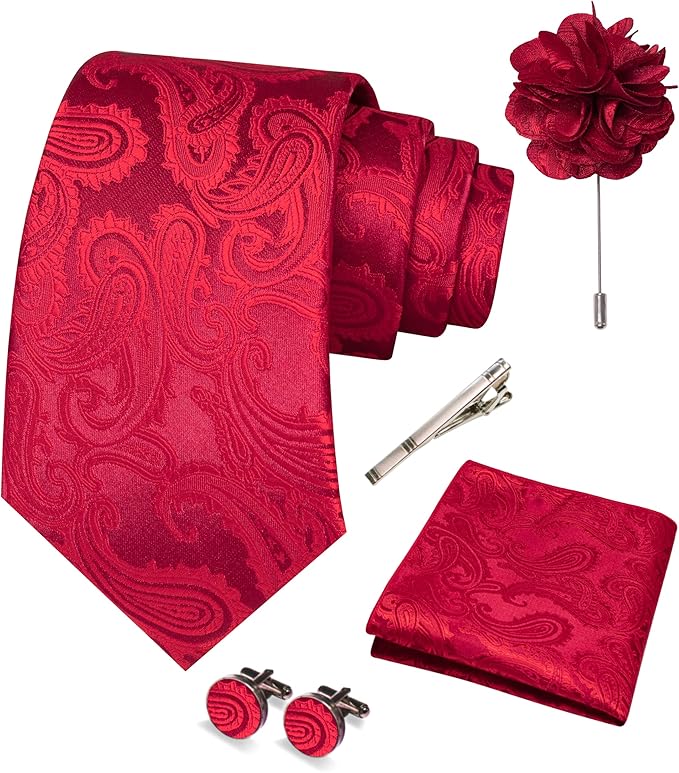 JEMYGINS Mens Paisley Tie and Pocket Square,Lapel Pin,Cufflinks,Tie Clip Sets with Gift Box 5PCS