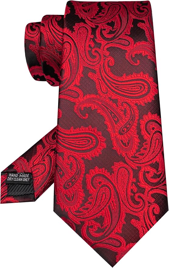JEMYGINS Mens Paisley Tie and Pocket Square,Lapel Pin,Cufflinks,Tie Clip Sets with Gift Box 5PCS