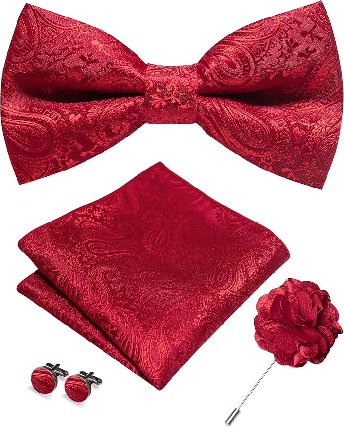 JEMYGINS Mens Paisley Bow Tie and Lapel Pin Necktie Pocket Square and Tie Clip with Sets for Business Casual 4PCS