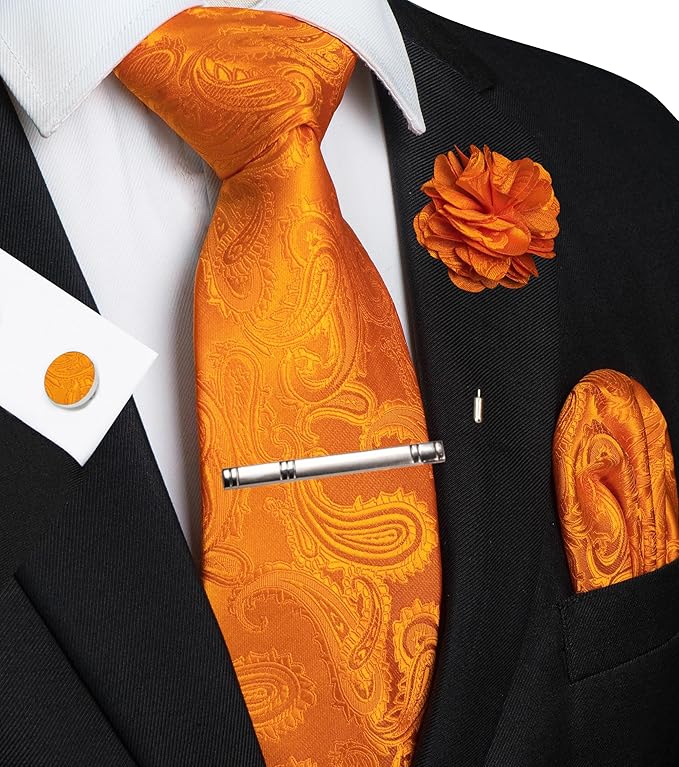 JEMYGINS Mens Paisley Tie and Pocket Square,Lapel Pin,Cufflinks,Tie Clip Sets with Gift Box 5PCS