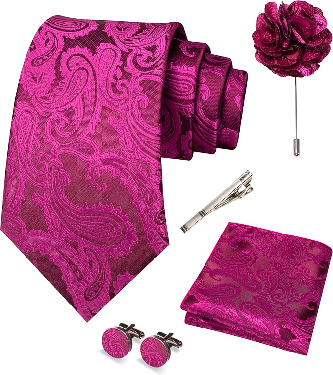 JEMYGINS Mens Paisley Tie and Pocket Square,Lapel Pin,Cufflinks,Tie Clip Sets with Gift Box 5PCS