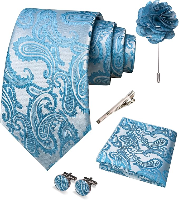 JEMYGINS Mens Paisley Tie and Pocket Square,Lapel Pin,Cufflinks,Tie Clip Sets with Gift Box 5PCS