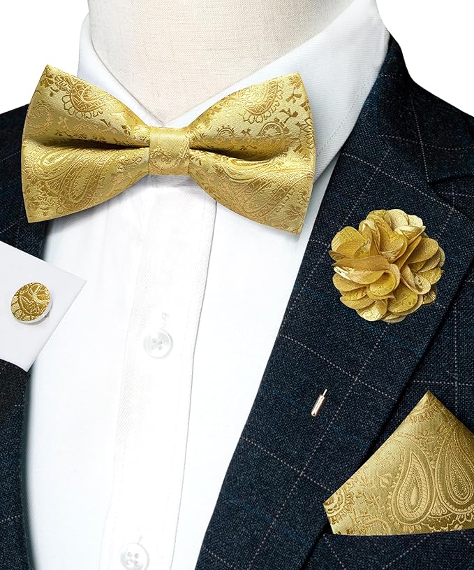 JEMYGINS Mens Paisley Bow Tie and Lapel Pin Necktie Pocket Square and Tie Clip with Sets for Business Casual 4PCS