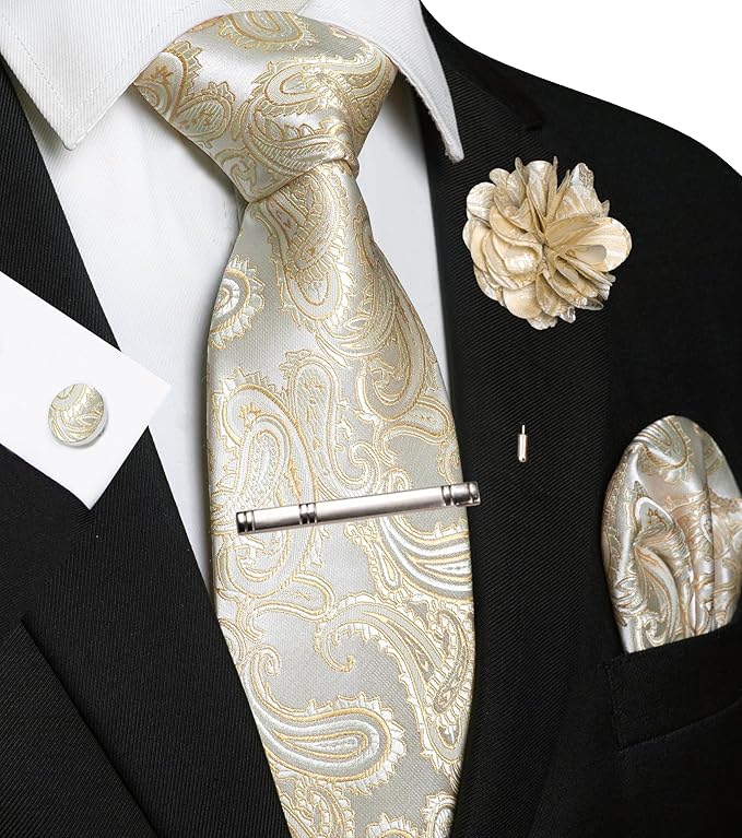 JEMYGINS Mens Paisley Tie and Pocket Square,Lapel Pin,Cufflinks,Tie Clip Sets with Gift Box 5PCS