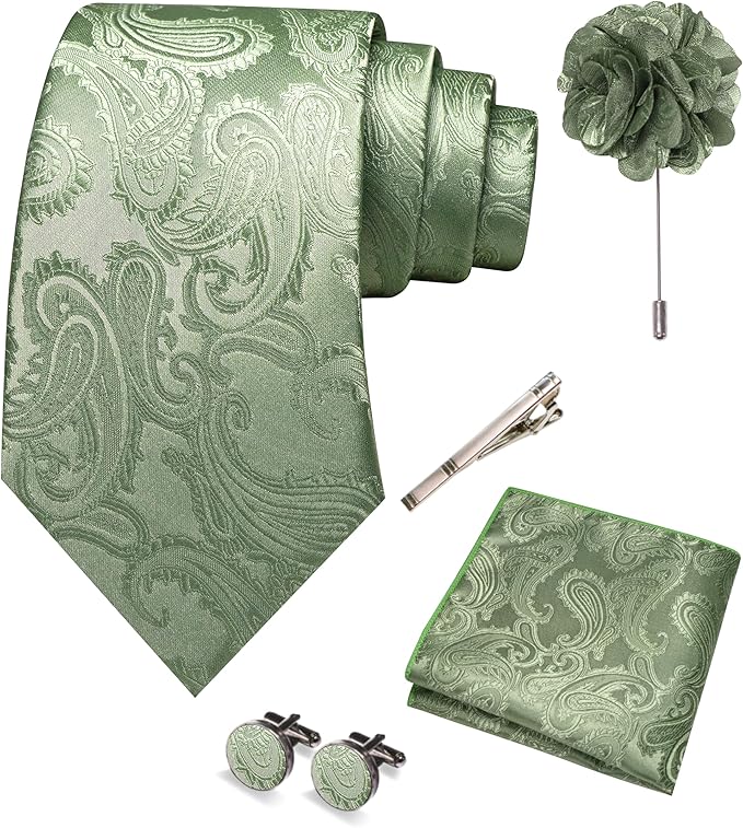 JEMYGINS Mens Paisley Tie and Pocket Square,Lapel Pin,Cufflinks,Tie Clip Sets with Gift Box 5PCS