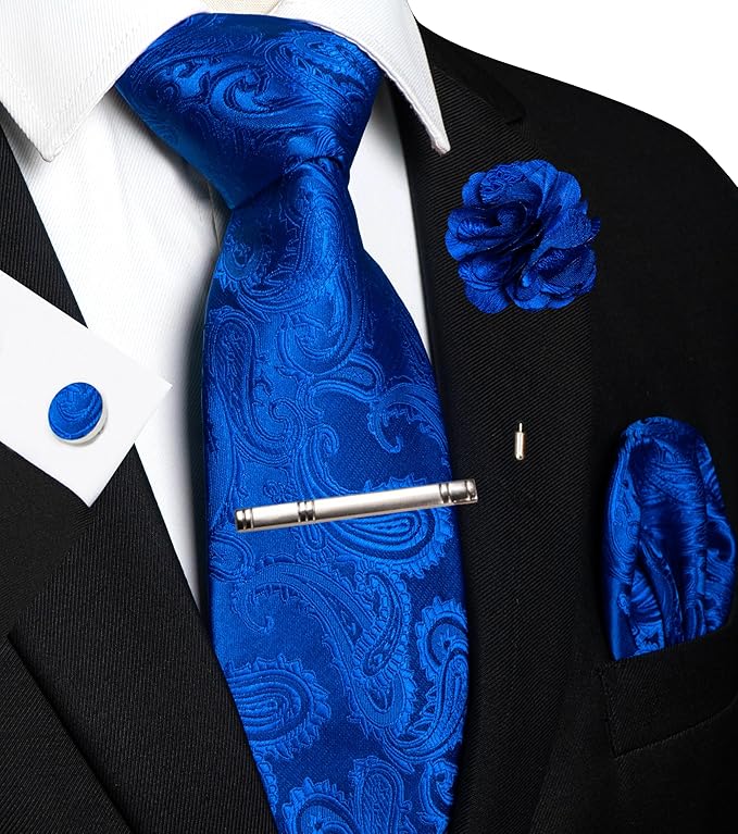 JEMYGINS Mens Paisley Tie and Pocket Square,Lapel Pin,Cufflinks,Tie Clip Sets with Gift Box 5PCS