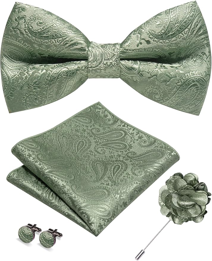 JEMYGINS Mens Paisley Bow Tie and Lapel Pin Necktie Pocket Square and Tie Clip with Sets for Business Casual 4PCS