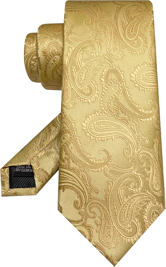 JEMYGINS Mens Paisley Tie and Pocket Square,Lapel Pin,Cufflinks,Tie Clip Sets with Gift Box 5PCS