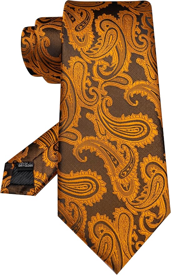 JEMYGINS Mens Paisley Tie and Pocket Square,Lapel Pin,Cufflinks,Tie Clip Sets with Gift Box 5PCS