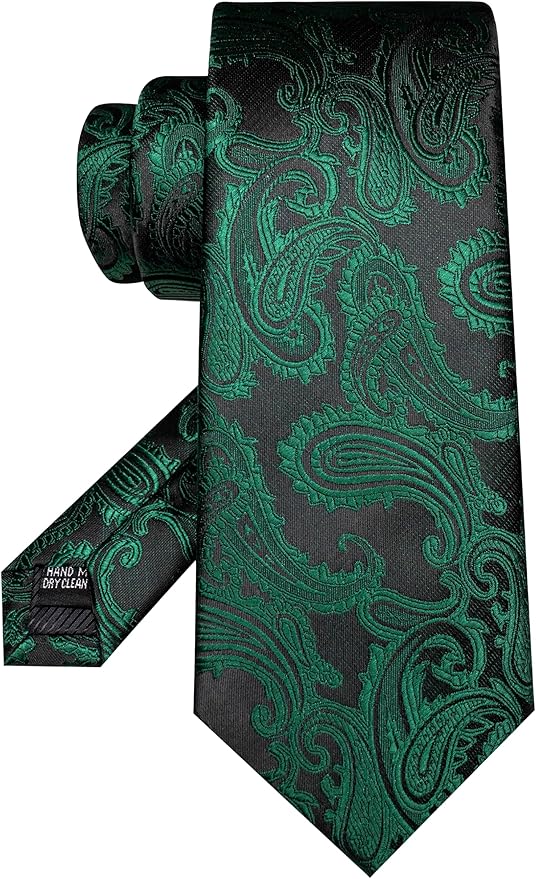 JEMYGINS Mens Paisley Tie and Pocket Square,Lapel Pin,Cufflinks,Tie Clip Sets with Gift Box 5PCS