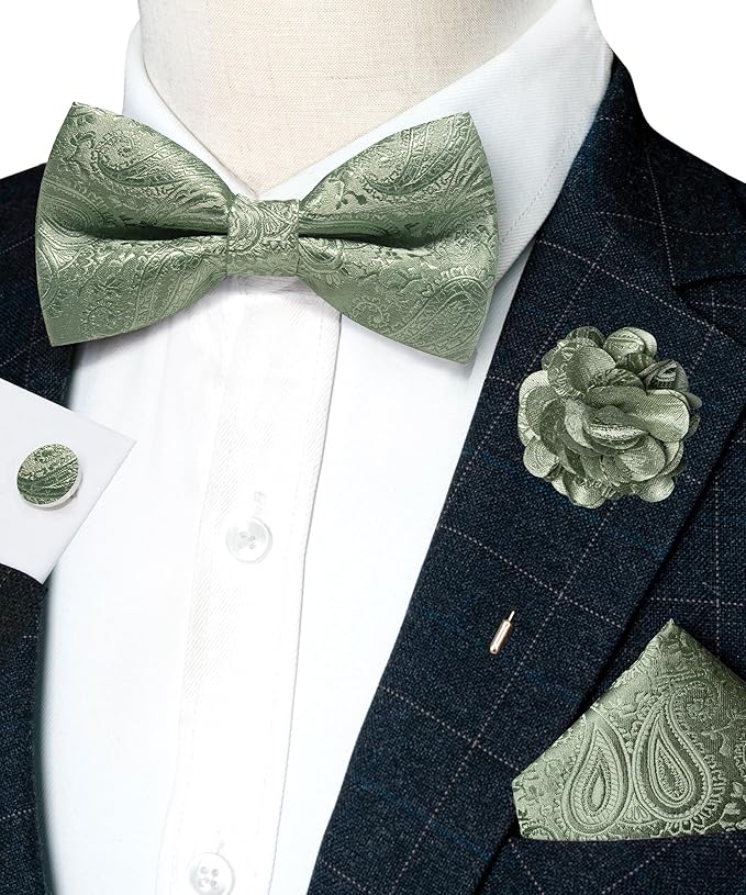 JEMYGINS Mens Paisley Bow Tie and Lapel Pin Necktie Pocket Square and Tie Clip with Sets for Business Casual 4PCS