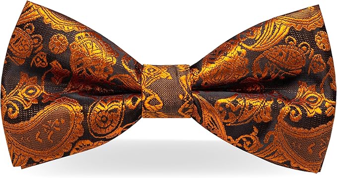 JEMYGINS Paisley Pre-tied Bow Tie and Pocket Square Cufflinks Lapel Pin Sets for Men 4PCS