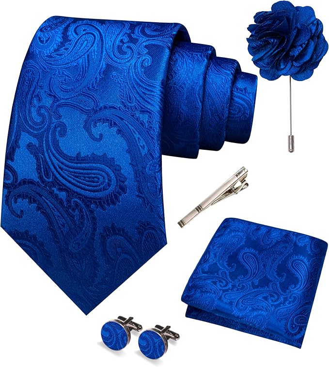 JEMYGINS Mens Paisley Tie and Pocket Square,Lapel Pin,Cufflinks,Tie Clip Sets with Gift Box 5PCS
