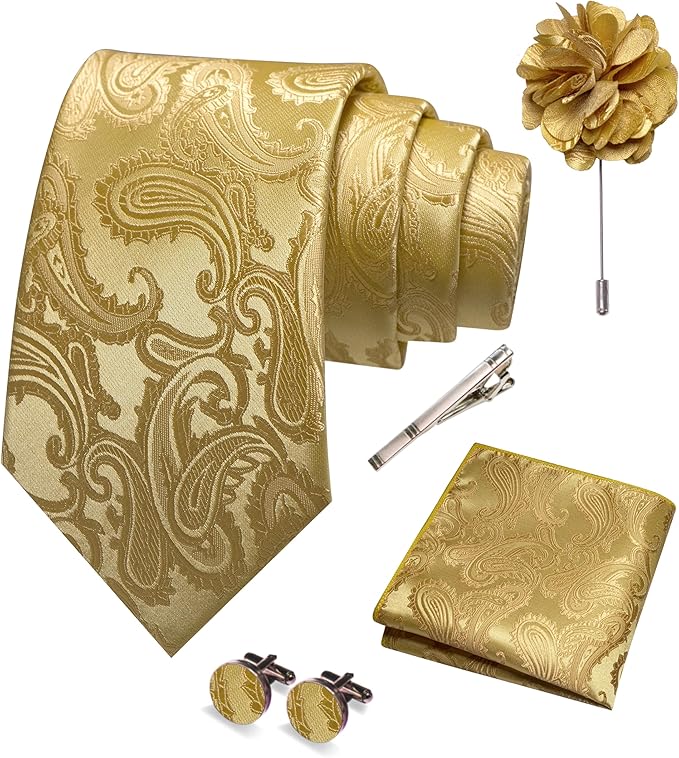 JEMYGINS Mens Paisley Tie and Pocket Square,Lapel Pin,Cufflinks,Tie Clip Sets with Gift Box 5PCS