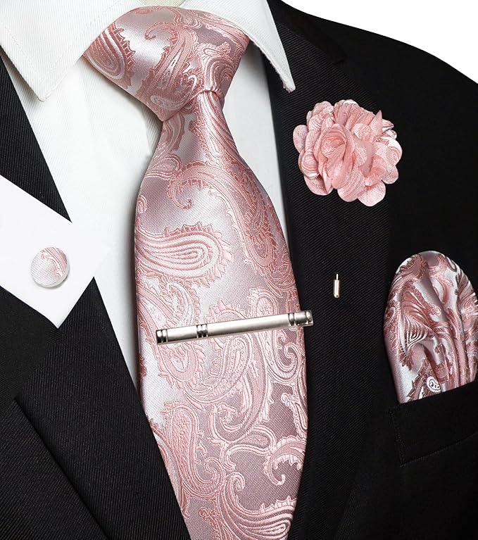 JEMYGINS Mens Paisley Tie and Pocket Square,Lapel Pin,Cufflinks,Tie Clip Sets with Gift Box 5PCS