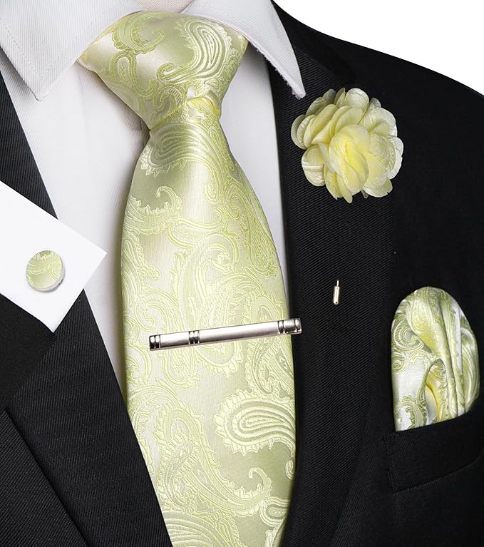 JEMYGINS Mens Paisley Tie and Pocket Square,Lapel Pin,Cufflinks,Tie Clip Sets with Gift Box 5PCS