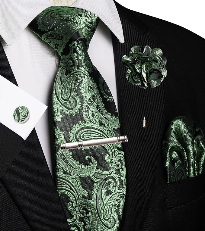 JEMYGINS Mens Paisley Tie and Pocket Square,Lapel Pin,Cufflinks,Tie Clip Sets with Gift Box 5PCS