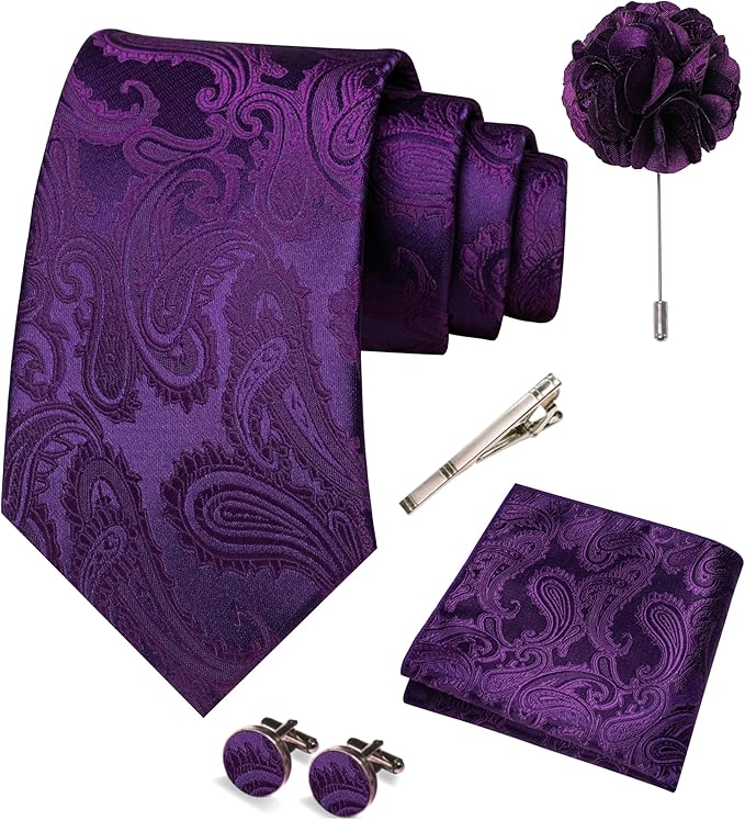 JEMYGINS Mens Paisley Tie and Pocket Square,Lapel Pin,Cufflinks,Tie Clip Sets with Gift Box 5PCS