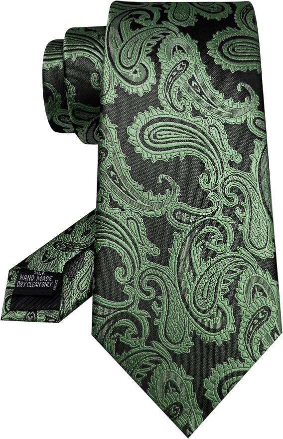 JEMYGINS Mens Paisley Tie and Pocket Square,Lapel Pin,Cufflinks,Tie Clip Sets with Gift Box 5PCS
